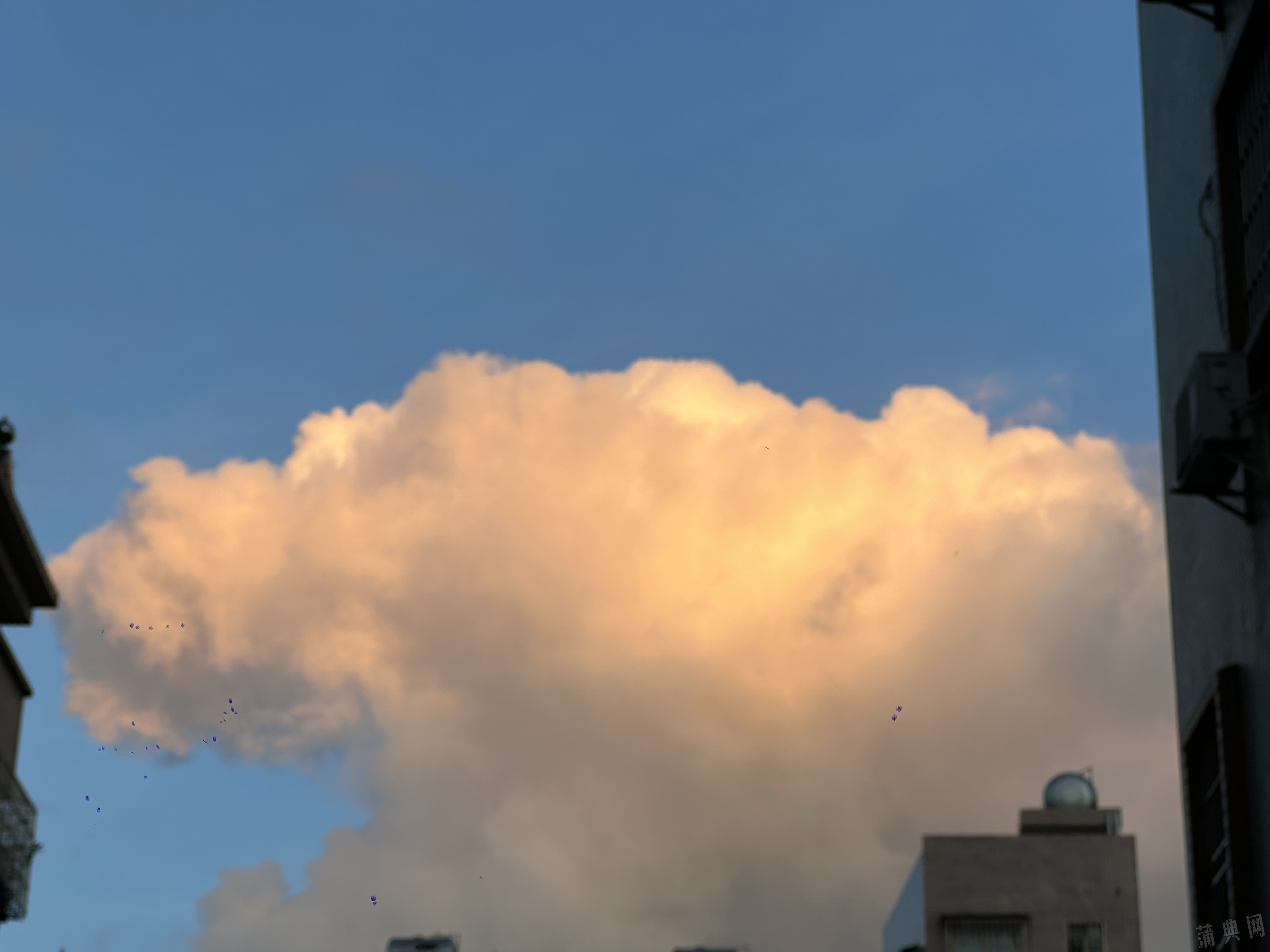 IMG_6177.jpeg